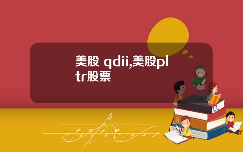 美股 qdii,美股pltr股票